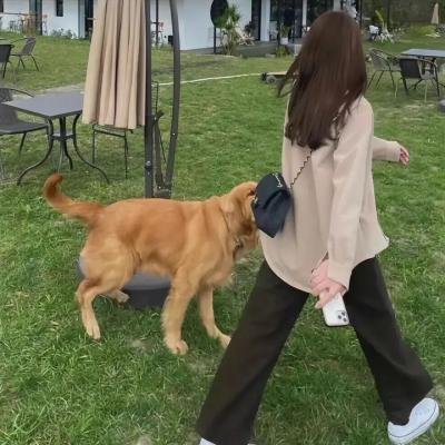 老而嚟癫